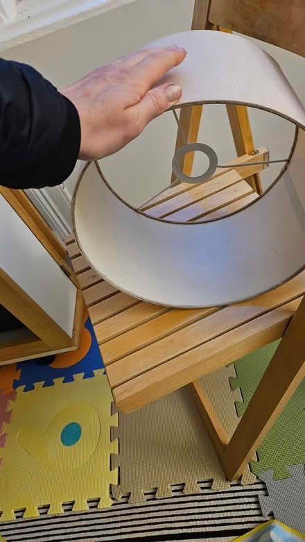 Photo of free Light shade (Edinburgh) #2