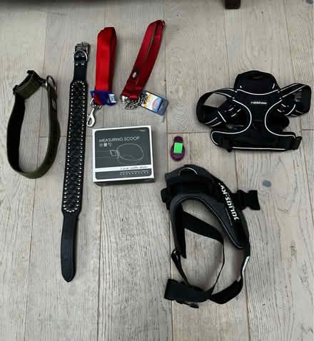 Photo of free Dog leads, collars, harnesses (WD4 (Kings Langley)) #1