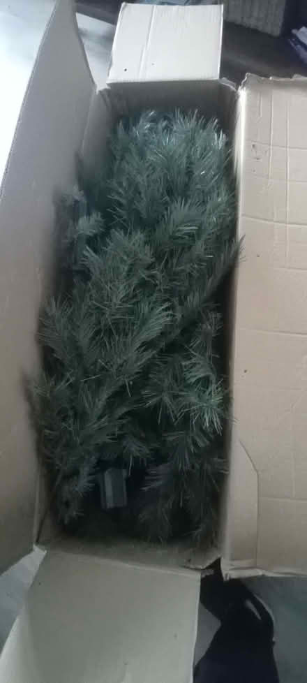 Photo of free Christmas Tree (TN23) #2