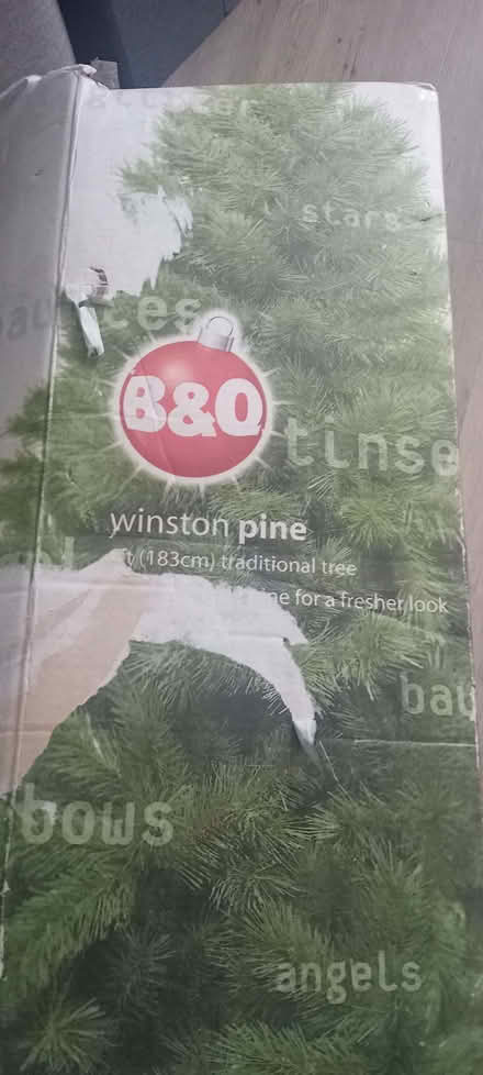 Photo of free Christmas Tree (TN23) #1