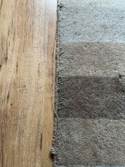 Photo of free Rug (Sneinton) #2