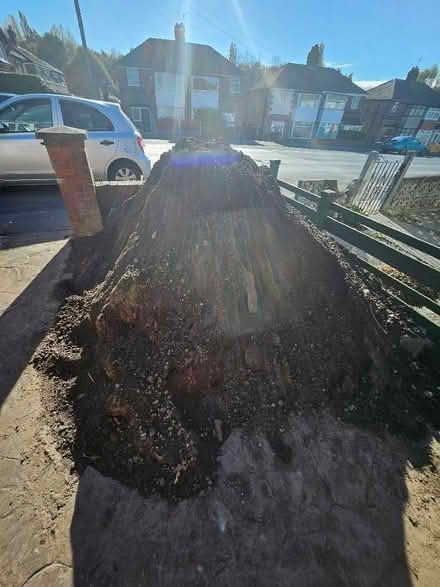 Photo of free Topsoil (Lower Crumpsall M9) #2