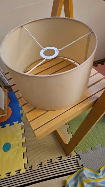 Photo of free Light shade (Edinburgh) #1