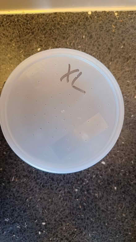 Photo of free 10 Plastic containers (Littlemore OX4) #2