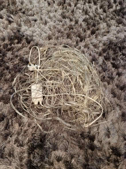 Photo of free Net Lights (Shinfield RG2) #1