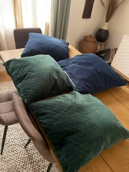 Photo of free 4 sofa cushions (M14 Fallowfield) #1