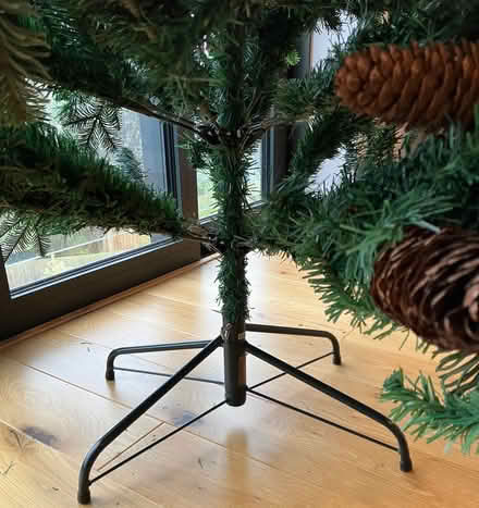 Photo of free Christmas Tree (Fairfield Park) #3