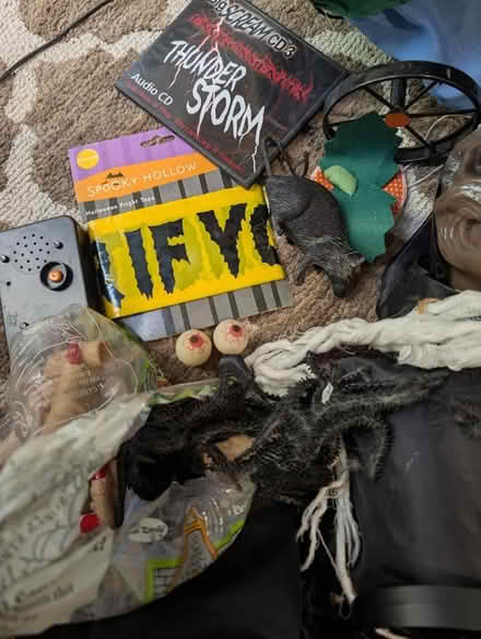 Photo of free Halloween Misc (Allendale NJ) #4