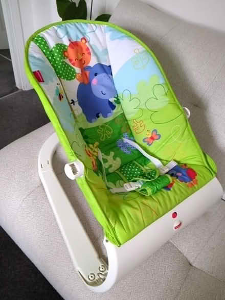 Photo of free Fisher price bouncer (Loughton IG10) #2