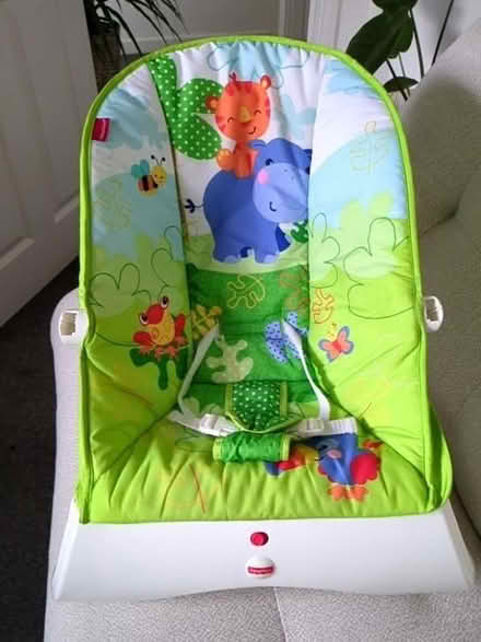 Photo of free Fisher price bouncer (Loughton IG10) #1