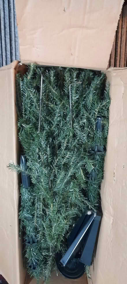 Photo of free christmas tree (Lakeside B98) #3