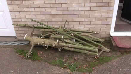 Photo of free logs for burning (St Albans AL4) #1