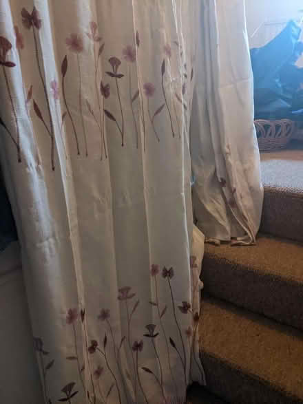 Photo of free Pair of Curtains (Hollingdean BN1) #1