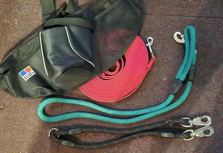 Photo of free Dog leads and bum bag (Headington OX3) #1