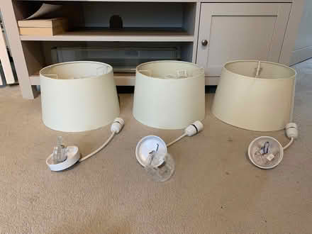 Photo of free Pendant Lampshades and / or pendant fixtures (Teddington TW11) #1