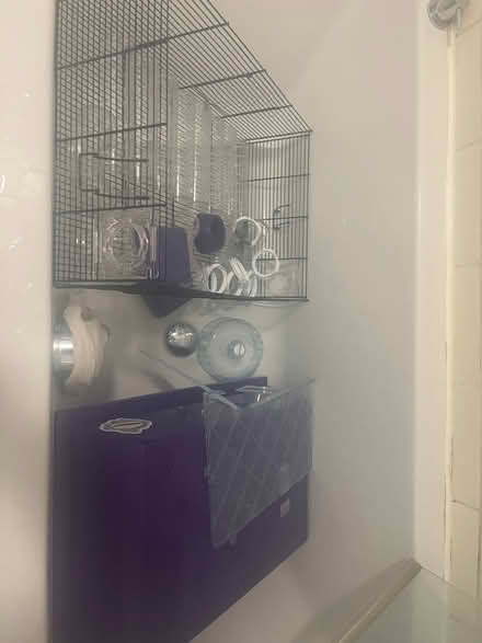 Photo of free Dwarf hamster cage and toys (North Kelvinside Glasgow G20) #3