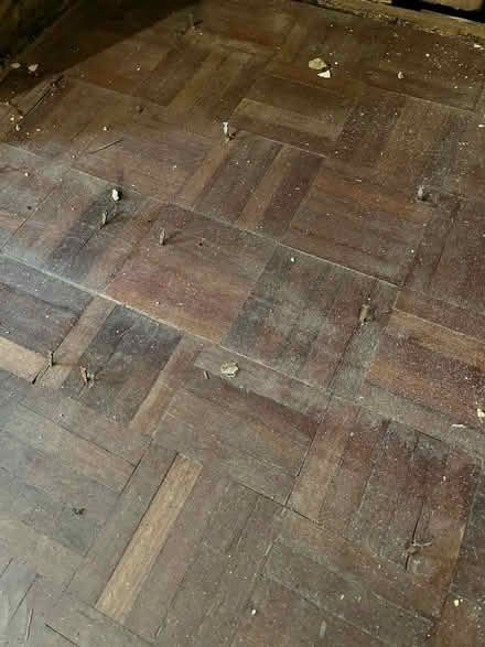Photo of free 5 bags of finger parquet pieces (Knockholt/Dunton Green TN14) #2