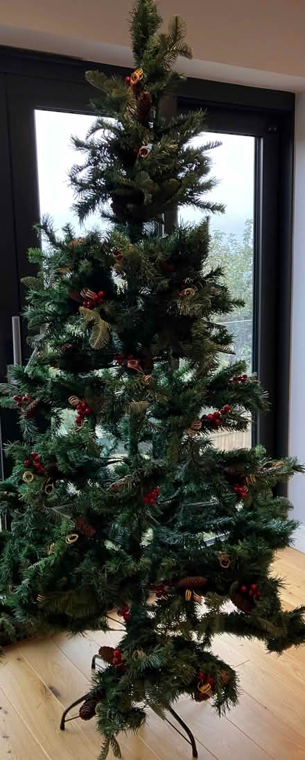 Photo of free Christmas Tree (Fairfield Park) #1