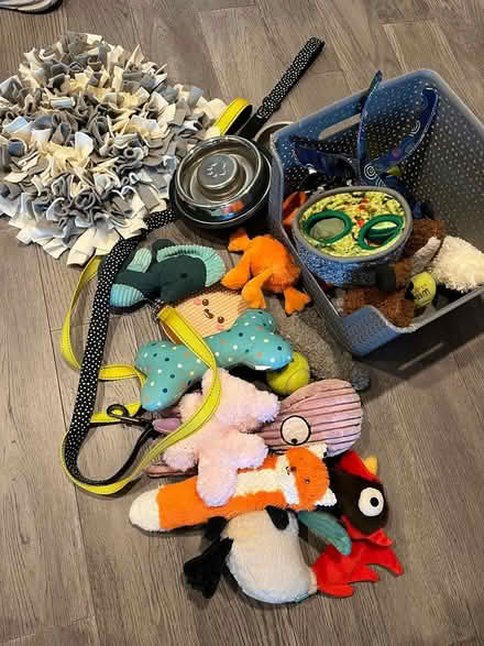 Photo of free Lots of Dog Supplies (Tenleytown) #1