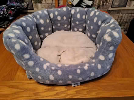 Photo of free Small pet bed (North Emsworth PO10 7) #1