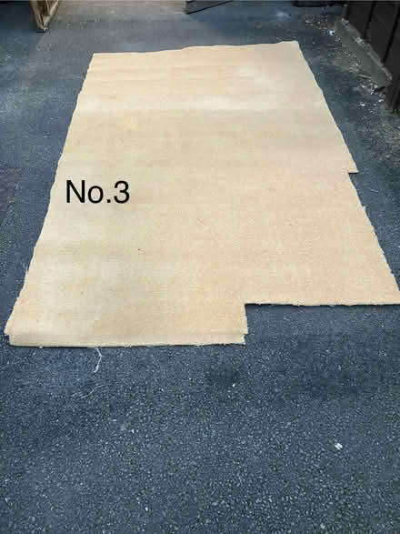 Photo of free Old carpets x 5 pieces (Willand EX15) #4