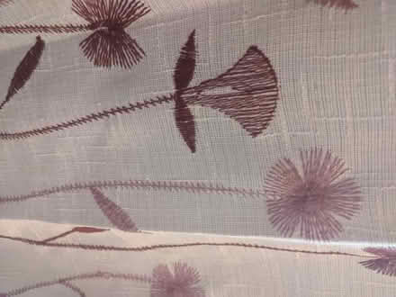 Photo of free Pair of Curtains (Hollingdean BN1) #2