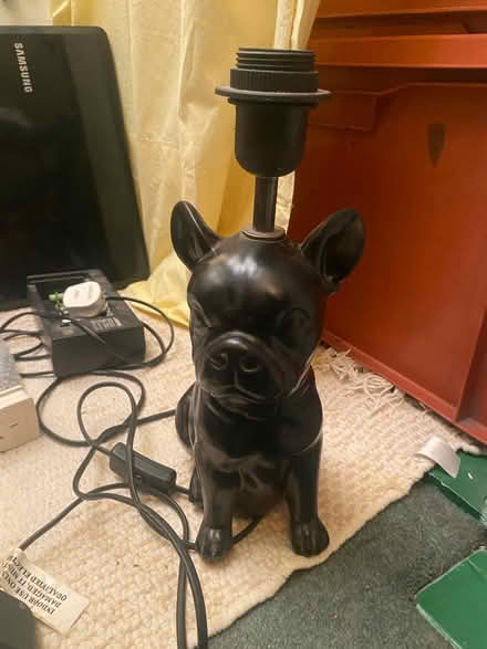 Photo of free Bulldog lamp (Witney OX28) #1