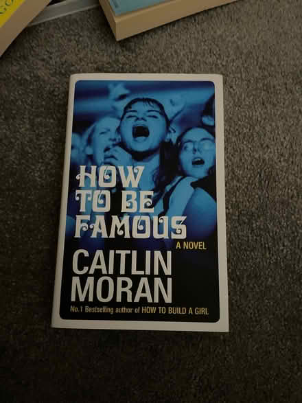 Photo of free How to be Famous book (Birmingham Stirchley B30) #1