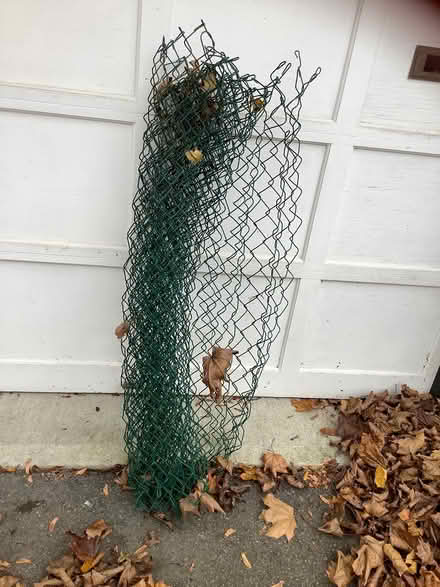Photo of free Piece of chain link fence (Beacon Hill North) #1