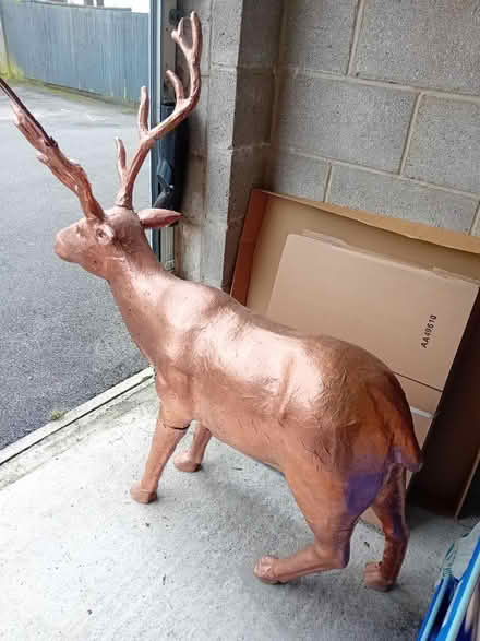 Photo of free Large cardboard reindeer (Radstock) #2