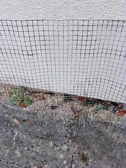 Photo of Chicken wire or similar (Painswick GL6) #1