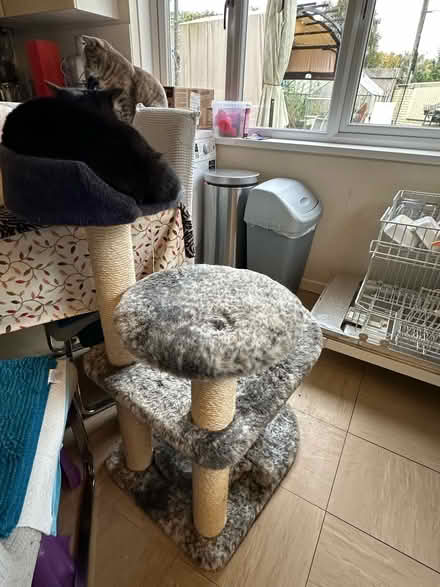 Photo of free Cat scratcher bed / play thing (BH8 Bournemouth) #2