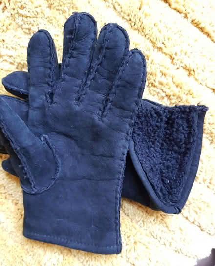 Photo of free Gloves (islington N1) #2