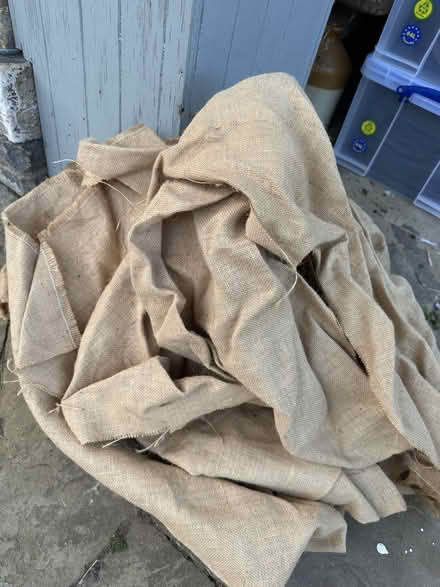 Photo of free Hessian (TN36) #1