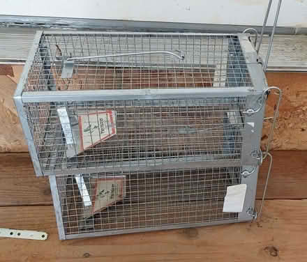 Photo of free Catch & Release mouse traps (Boulder) #1