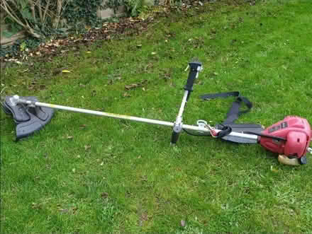 Photo of free Sovereign strimmer. (Oakridge RG21) #1