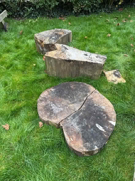 Photo of free Large logs for splitting (Caterham CR3 6) #1