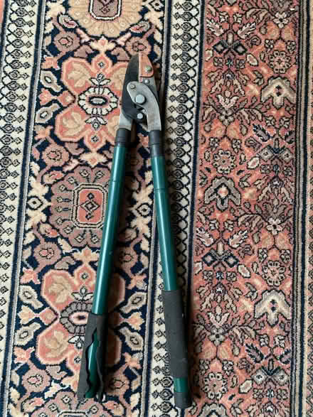 Photo of free Branch loppers (W4) #1