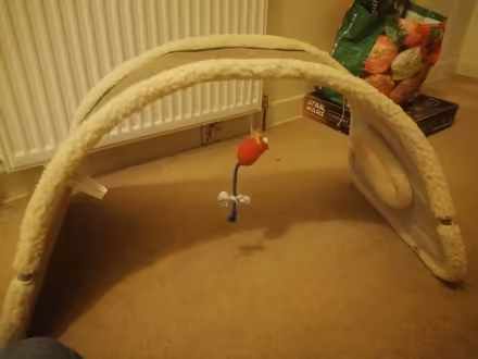 Photo of free Cat play station (Monimail KY15) #2