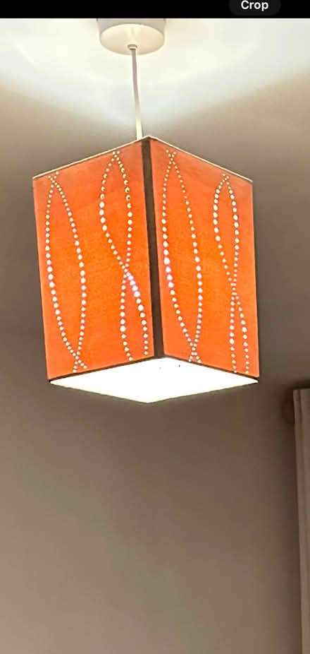 Photo of free Brown Lamp shade (E1w1nD) #2