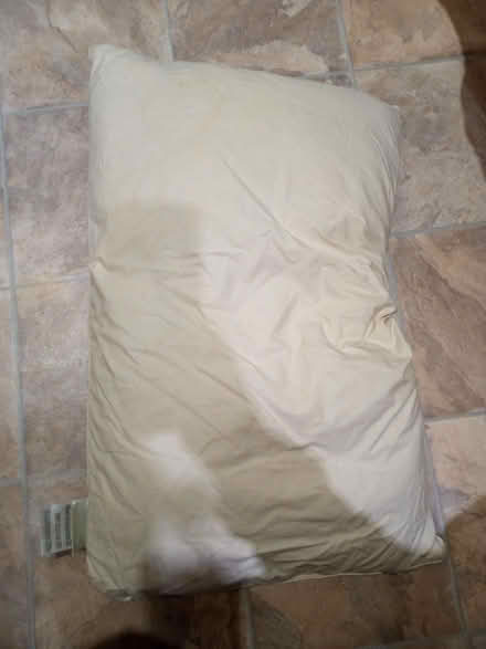Photo of free Old pillow (High Wood GL6) #4