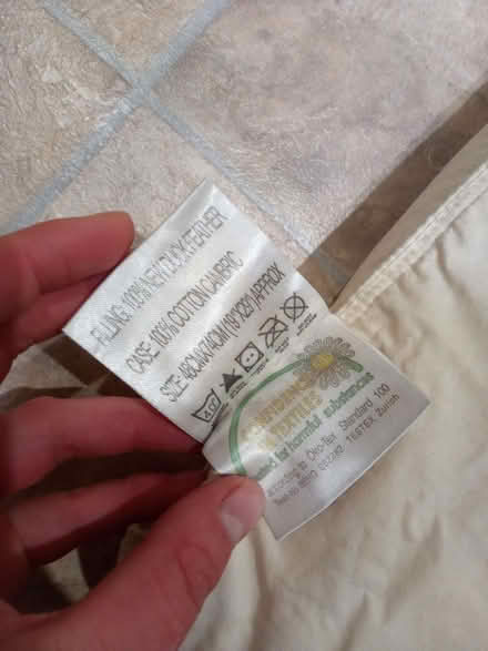 Photo of free Old pillow (High Wood GL6) #1