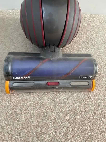 Photo of free Dyson Animal 2 (Shortlands BR2) #2