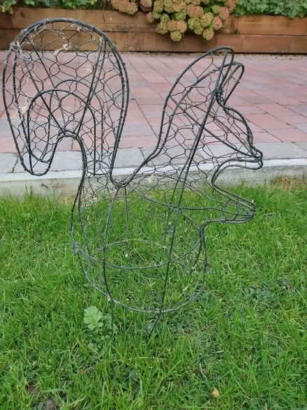 Photo of free Box hedge squirrel template (Old Town TN40) #1