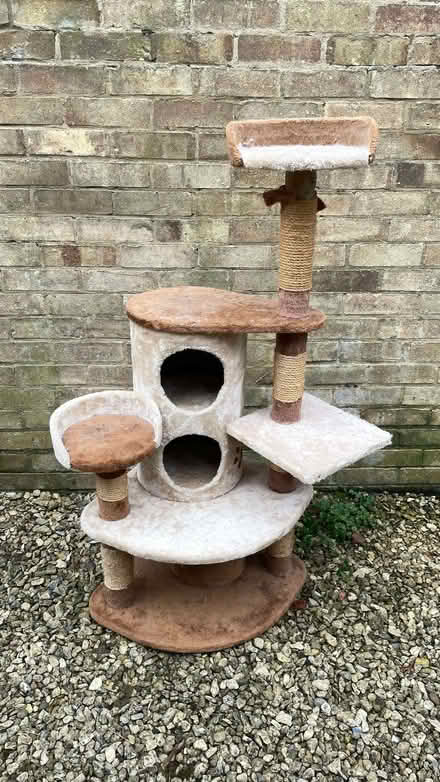Photo of free Cat tower (Woodstock OX20) #1