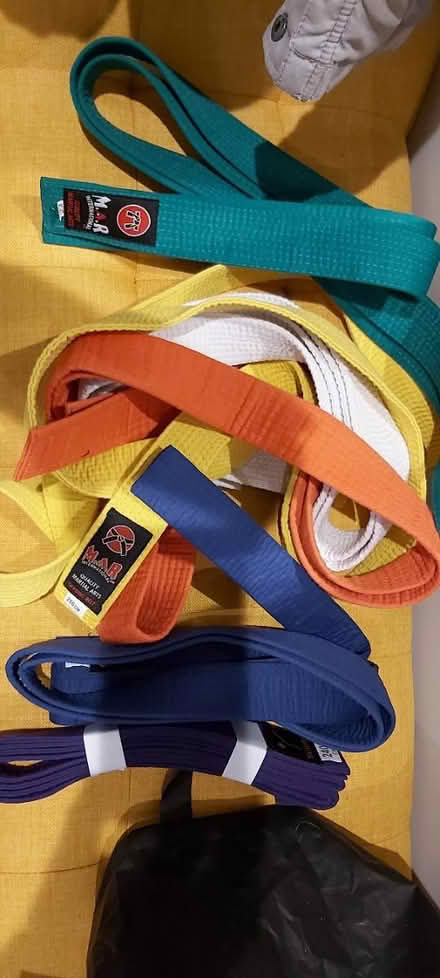 Photo of free Martial arts belts (Dunton Bassett LE17) #1