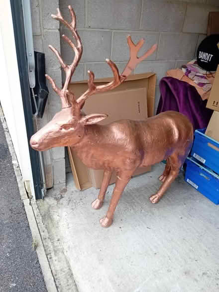 Photo of free Large cardboard reindeer (Radstock) #1
