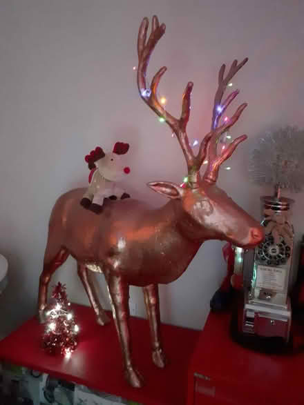 Photo of free Large cardboard reindeer (Radstock) #4
