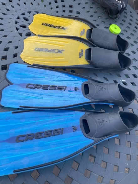 Photo of free Flippers (AL8 7TL Welwyn Garden City) #1