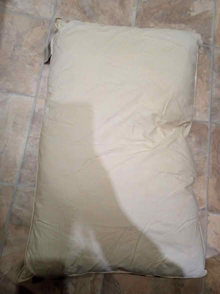 Photo of free Old pillow (High Wood GL6) #2
